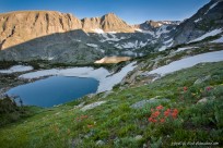 indian paintbrush, flowers, gorge lakes, arrowhead lake